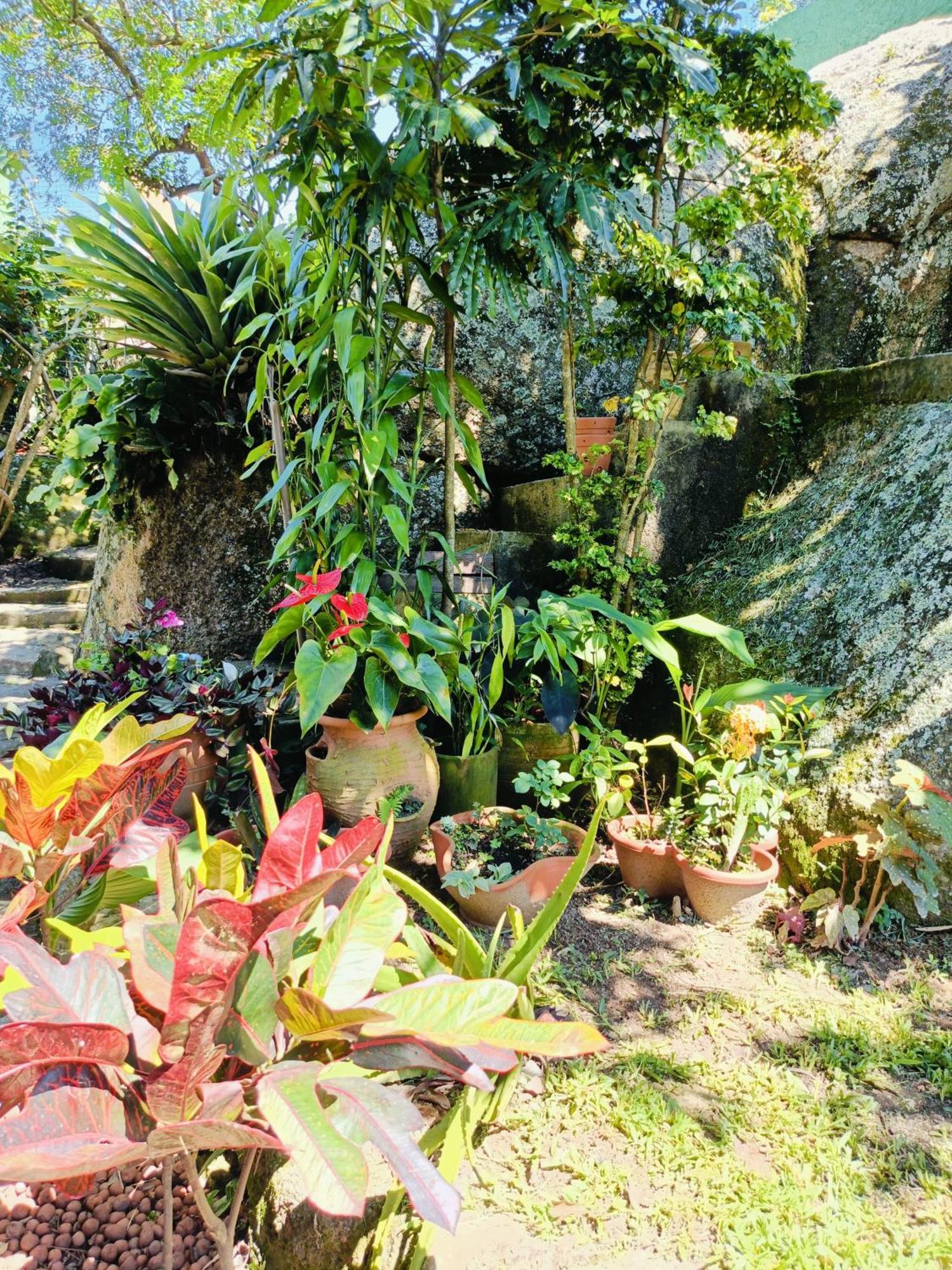 Casa Inteira Em Jurere In E Vista Panoramica Βίλα Florianópolis Εξωτερικό φωτογραφία